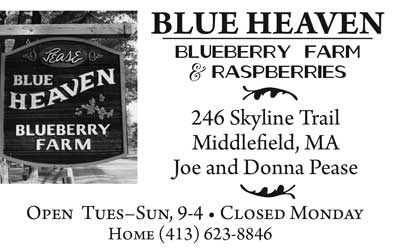 Blue Heaven Blueberries and Raspberries 7016