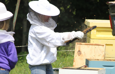 Rockhouse Ridge Farm Bees