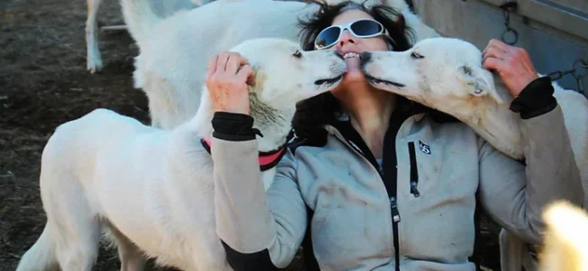 Hilltown SleddogsMBB-650×300