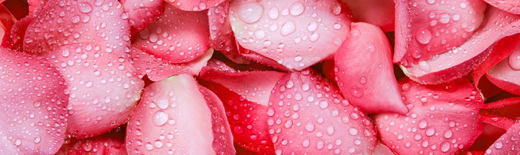 WiseWays Herbalssfnt_slider_8