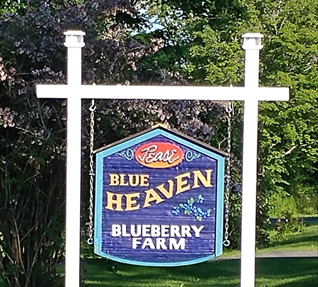 20190626_175439_1_Edited