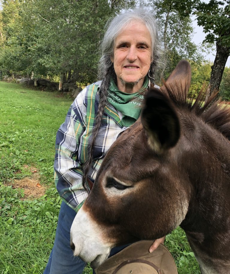 Horses-With-A-Heart-HORSES-WITH-A-HEART-768×913-1